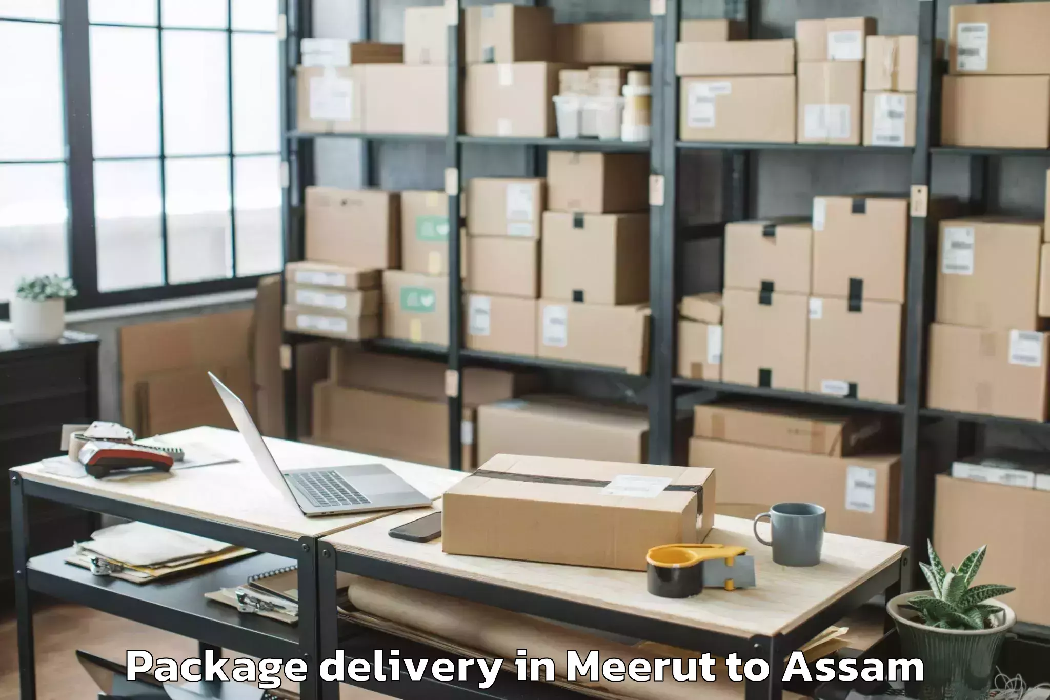 Leading Meerut to Goroimari Package Delivery Provider